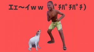 Dance Brazil Dog Dance