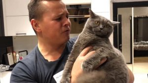 Британка из тик тока . Бременские