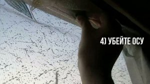 Тутор для Влады | Как убить осу | Или мое убийство в 4 утра