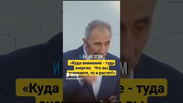 КУДА ВНИМАНИЕ - ТУДА ЭНЕРГИЯ!ЧТО ПОЛИВАЕТЕ - ТО И РАСТЁТ!