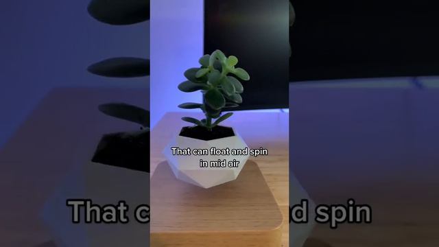 Levitating Flower Pot