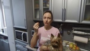 ГОД БЕЗ ГРУМИНГА. Что ждет йорка и вас, если долгое время не ходить на профессиональную стрижку?