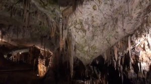 Postojnski caves Slovenia and human fish proteus