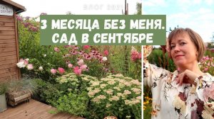 Я удивилась, когда вернулась в свой сад через 3 месяца! Аленин сад в сентябре