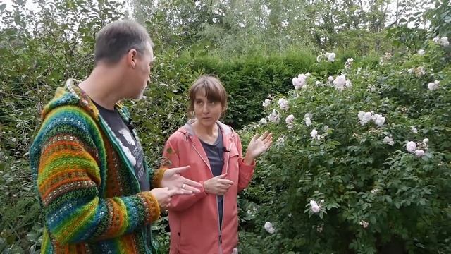 Сорта, агротехника, уход – в гостях у питомниковода Ольги Чиненковой смотреть онлайн