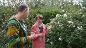 Сорта, агротехника, уход – в гостях у питомниковода Ольги Чиненковой