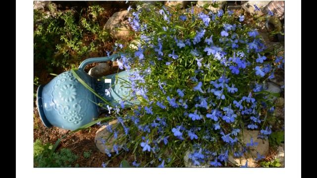 ДЕКОР САДА смотреть онлайн