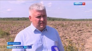 В Лухском районе вводят в оборот заброшенные поля