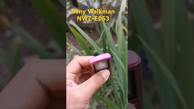 Sony Walkman NWZ-E053 Player Musik