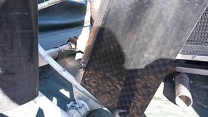Первый выезд на Пиранье, река Терсь