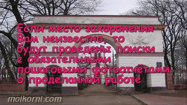 Уход за захоронениями в Беларуси смотреть онлайн