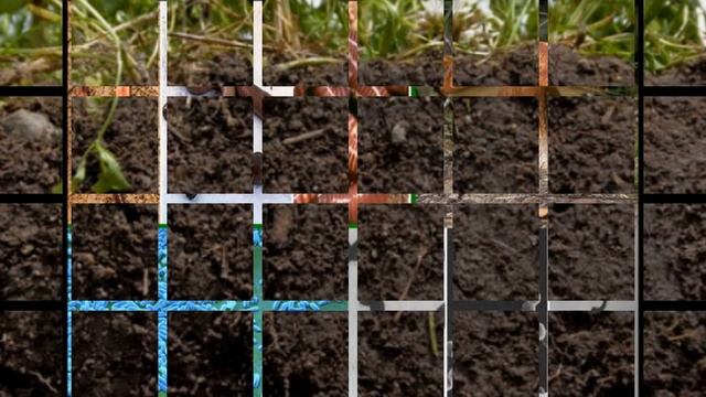 ЛУГ- природное сообщество. Экосистема. Виды. Растения. Животный мир. Охрана. смотреть онлайн