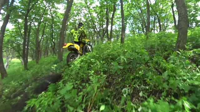 Убей свой страх! смотреть онлайн