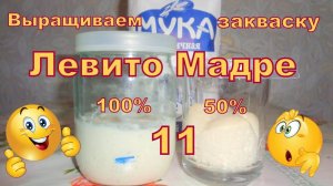 Закваска на винограде Левито Мадре. Часть 11. Мой эксперимент))