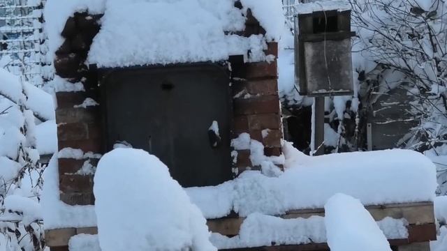 20-25 10 2021г печальная осень дача под Архангельском смотреть онлайн