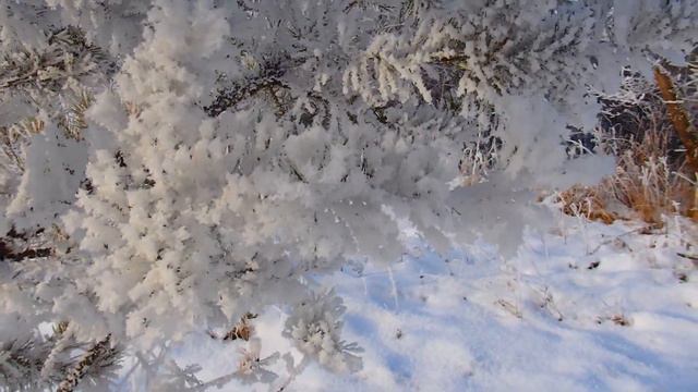 Река Белая у урочища Барская Лука ! Морозная сказка  , в последний день осени !