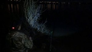 ВОТ ЭТО НАЛИМ! Ловля налима ночью. Рыбалка на Оби.