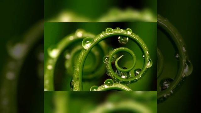 Духовность, разум и технологии, 189 смотреть онлайн