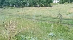 Аренда земельного участка у государства. (  часть 1)