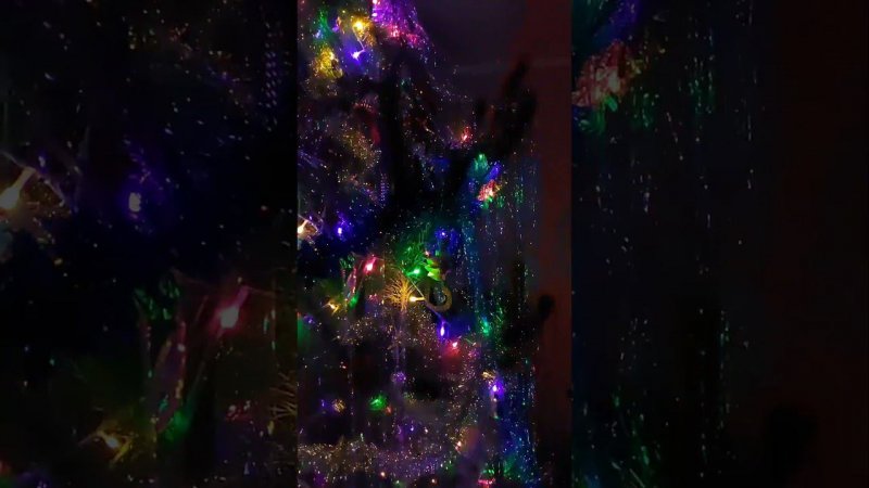 С Новым Годом !