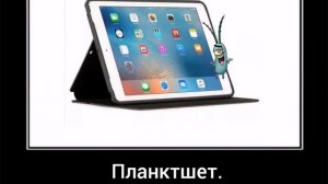 Губка Боб+шиза=