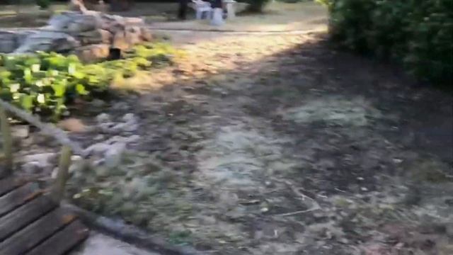 Sun Garden - Уборка участков # 2 смотреть онлайн