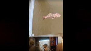 настоящий герой слав это не тот кто...