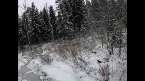 pomor x6 обкатка, первые испытания на бездорожье