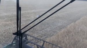 Джон Дир 9660 WTS Уборка стартовала!