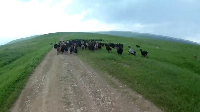 Один день на мокрых педалях. Велотур северное Приэльбрусье