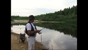 пикерная кормушка