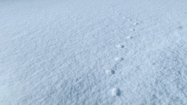 СТРОИМ ДОМ: купили имитацию бруса смотреть онлайн