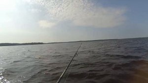 Карелия Водлозеро. Рыбалка на судака.