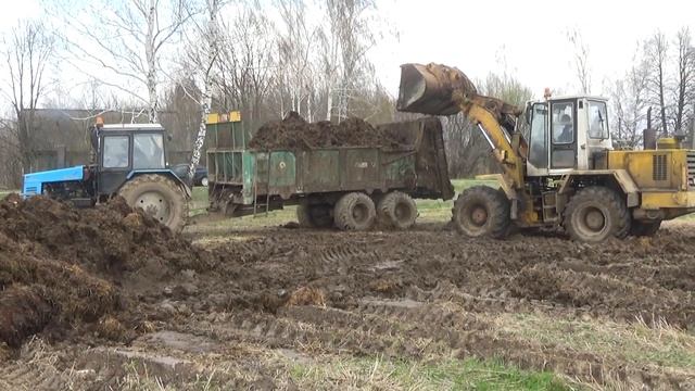 МТЗ 1221 на внесении органики. Новый разбрасыватель МТУ-18. смотреть онлайн