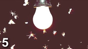 10 ФАКТОВ О ФИЗИКЕ