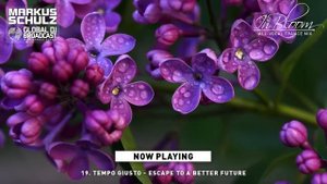 Markus Schulz - In Bloom 2022 (Vocal Trance Mix)