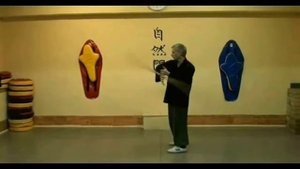 Обучение единоборствам. УШУ  武術   Видео. Москва.