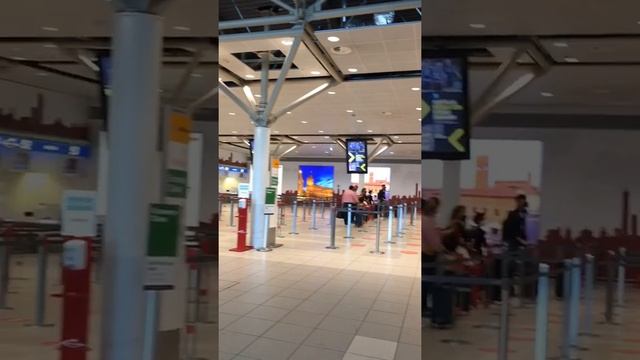 Check-In Area B At Bologna Airport Guglielmo Marconi | Italy | 29 August 2021  #shorts