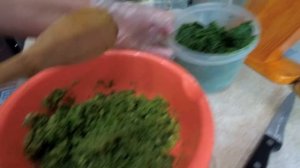Приправа из листьев хрена к мясу! САМЫЙ ПРОСТОЙ РЕЦЕПТ!!!