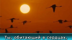 (христианские песни, караоке) Вижу Бога каждый день.