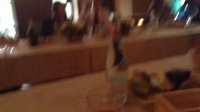 Как я сходила на свадьбу:мое платье-баллон,ПОЙМАЛА БЕЛКУ,торт упал,ловила букет АЙПАДОМ смотреть онлайн