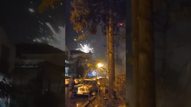 Адлер 2022 смотреть онлайн