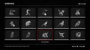 Red Dead Redemption 2  Справочник. Все животные.