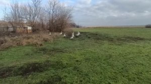 дом в деревне. перед новым годом