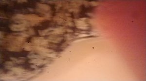 Призрачный дом серия 1