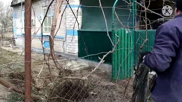 Обрезка винограда. Обрезка арочного винограда. Обрезка не укрываемого винограда.