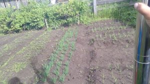 купил печку для полатки "Берег Зима -Лето".