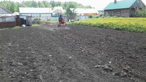 Мотоблок Агро боронение