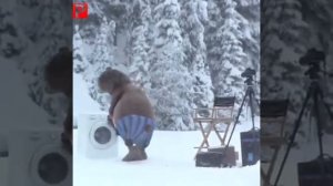 Как медведи меняю шкуру с летней на зимнюю