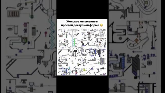 как работает мозг девушки